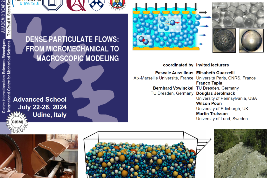 Dense particulate flows (CISM, Udine July 22-26 2024)
